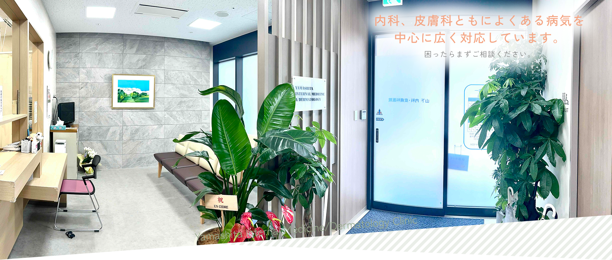 山下内科・皮膚科医院内観